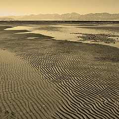 фото "Gulf of Aqaba"