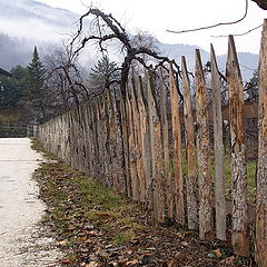 photo "Fence"