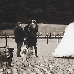 photo "Wedding"