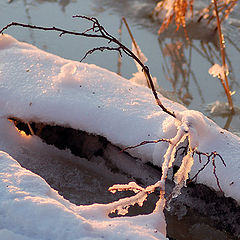 фото "Colours of the snow"