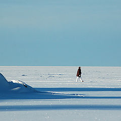 фото "Northern winter -calmness and beauty"