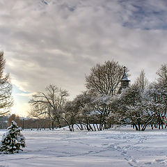 фото "Коломенское"