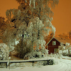 фото "Winter night"