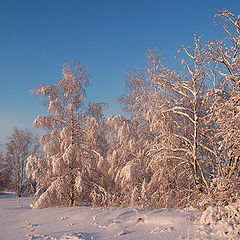 фото "Winter fairy-tale"