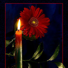 фото "Пусть в эту ночь цветут цветы и тихо плачут свечи…"