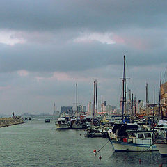 photo "the Jaffa Port"