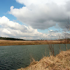 photo "Country landscape..."