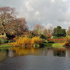 photo "Nature Pond"