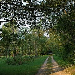 photo "Country Road"