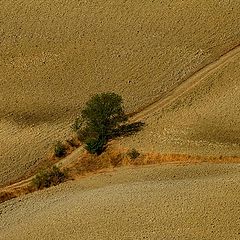 фото "Our mother Earth"