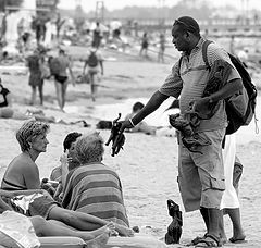 photo "....elephants seller"