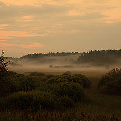 фото "Вечерний туман"