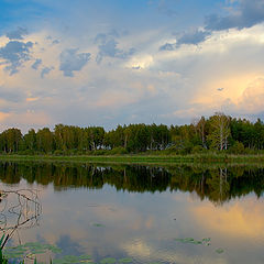 фото "Успокоение"