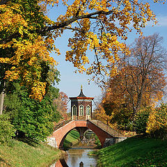 photo "Golden Autumn in Pushkin"