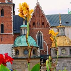 фото "Замок Вавель и его цветы"