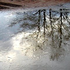 фото "Точка замерзания"