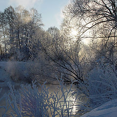 фото "У реки."