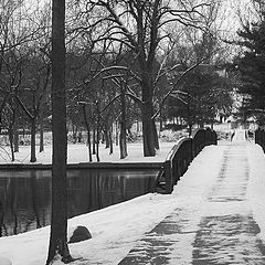 фото "Winter Crossing"