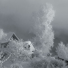 фото "Зимний домик эльфов"