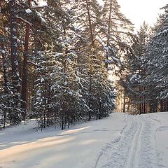 photo "Winter day"