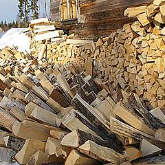 photo "Firewood"