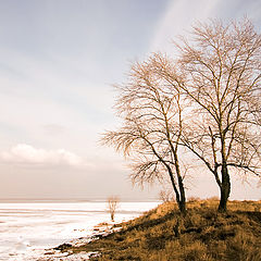 фото "Приближение Весны"