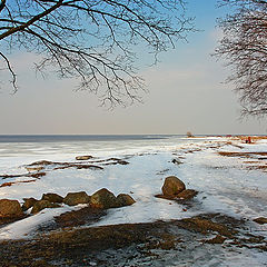 photo "View to Finnish Bay from Alexandria park"