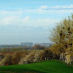 photo "landscape with mistletoe"