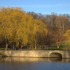 photo "Autumn colors of early spring"