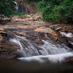 photo "Hong Kong Oasis"