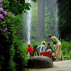 photo "to the fountain"