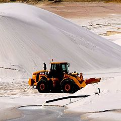 photo "Mister Sandman"