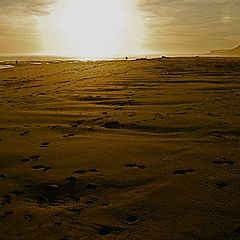 фото "следы на песке"