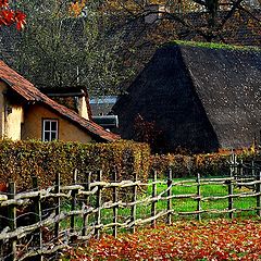 фото "old roofs"