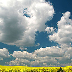 Фотоальбом "clouds"