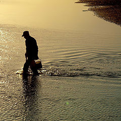 photo "Loneliness or... may be not..."