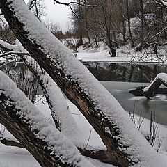 фото "Снова зима"