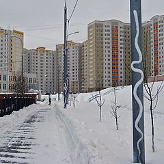 фото "Змеи в городе!!!..."