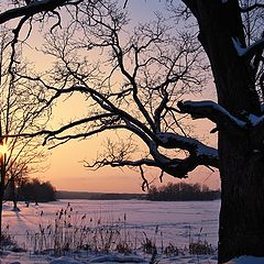 фото "Низкое солнце января (2)"