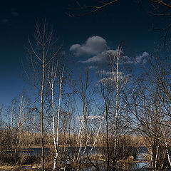 photo "Апрель"