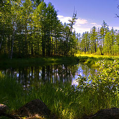 photo "Тихое летнее утро."