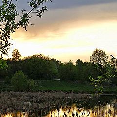 photo "Sunset in the swamp"