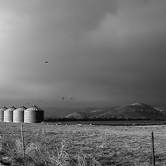 photo "Silos"