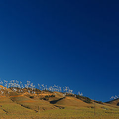 photo "Scenic Windfarms"