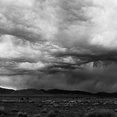 photo "A Desert Storm"