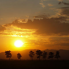 photo "Treeline-Sunset"