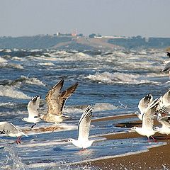 фото "Азовское море..."