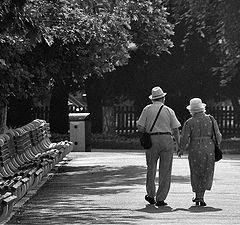 photo "Morning walk"