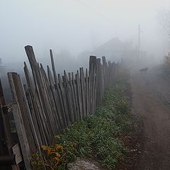 photo "Fence"