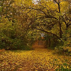 фото "Осень в старом парке..."